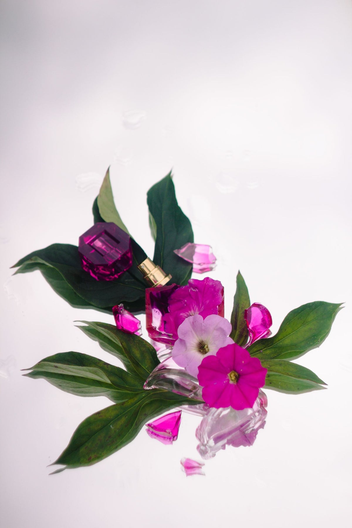 Coral Reef Mist perfume bottle